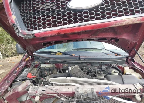 2006 Ford F-150 Stx/Xl/Xlt z USA, uszkodzony, nr VIN 1FTRX14W76NA70369